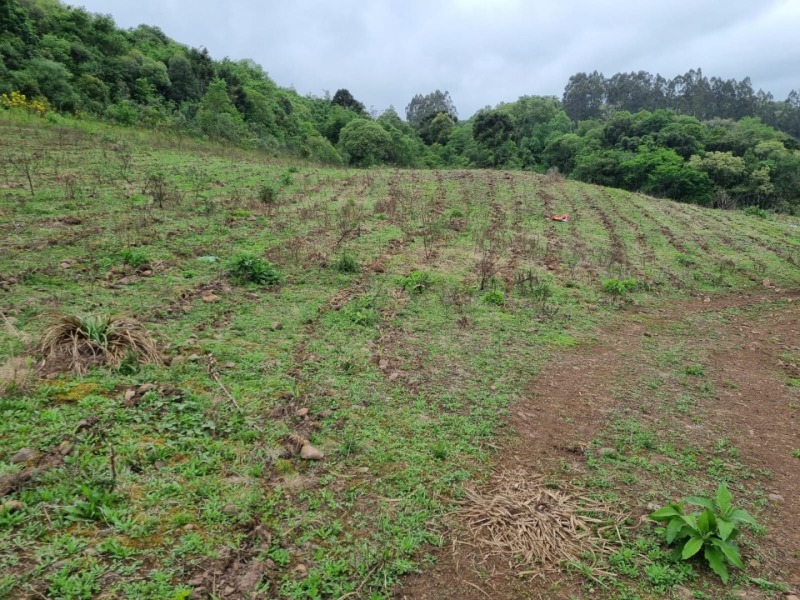 Foto 5 de 22: Area Rural em leilão em Barros Cassal - RS — LOTE 012 Imóvel