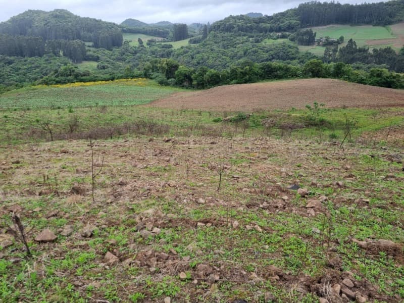 Foto 6 de 22: Area Rural em leilão em Barros Cassal - RS — LOTE 012 Imóvel