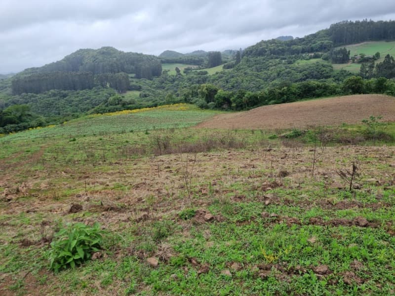Foto 7 de 22: Area Rural em leilão em Barros Cassal - RS — LOTE 012 Imóvel