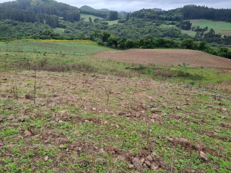 Foto 8 de 22: Area Rural em leilão em Barros Cassal - RS — LOTE 012 Imóvel