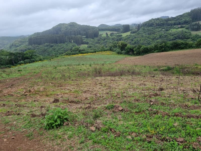 Foto 1 de 22: Area Rural em leilão em Barros Cassal - RS — LOTE 012 Imóvel