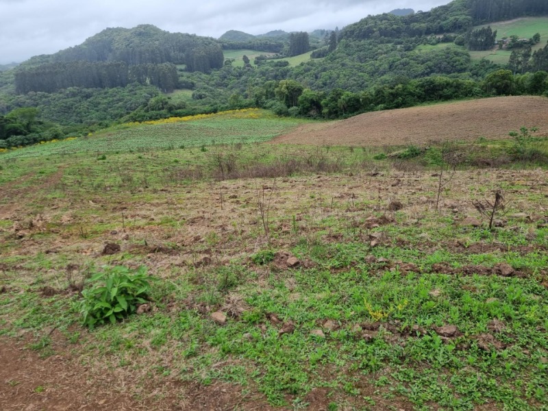 Foto 11 de 22: Area Rural em leilão em Barros Cassal - RS — LOTE 012 Imóvel