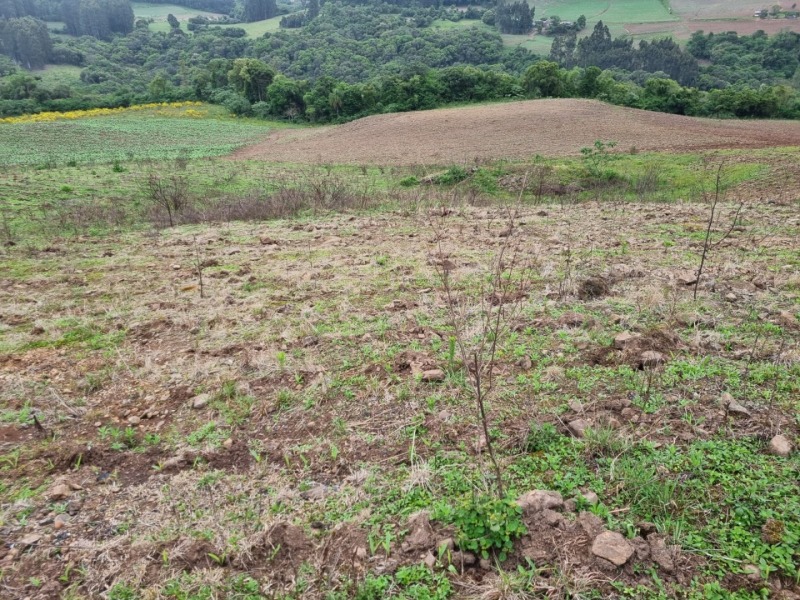 Foto 14 de 22: Area Rural em leilão em Barros Cassal - RS — LOTE 012 Imóvel