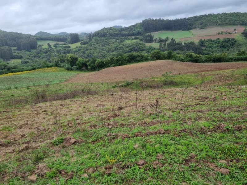 Foto 15 de 22: Area Rural em leilão em Barros Cassal - RS — LOTE 012 Imóvel