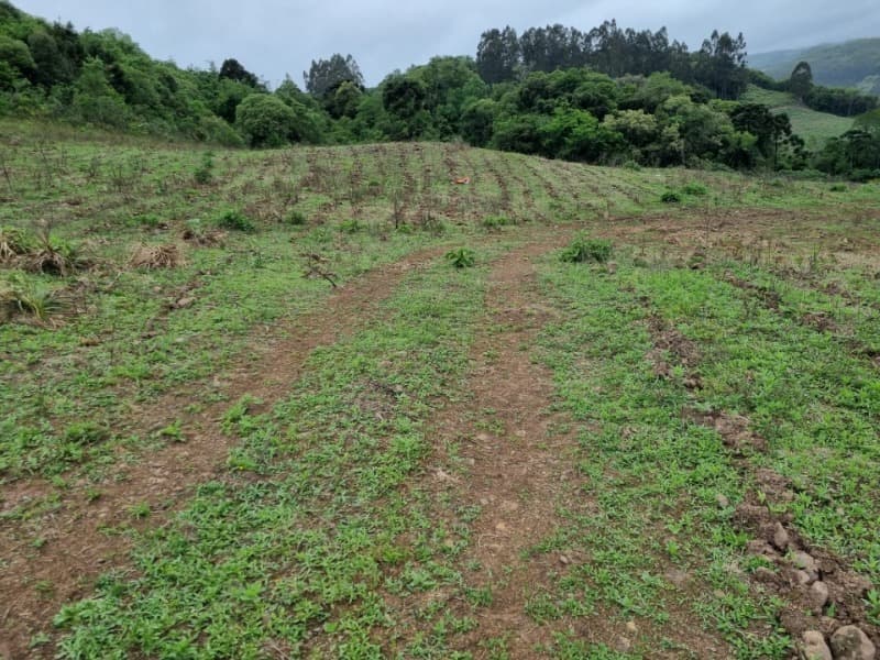 Foto 17 de 22: Area Rural em leilão em Barros Cassal - RS — LOTE 012 Imóvel