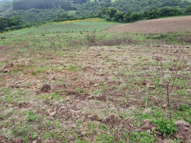 Foto 21 de 22: Area Rural em leilão em Barros Cassal - RS — LOTE 012 Imóvel