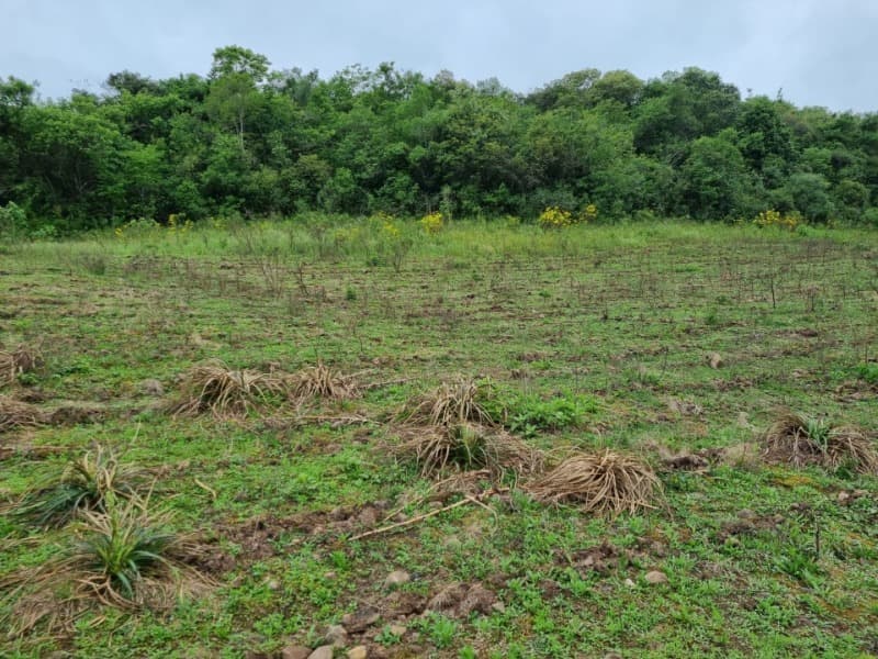 Foto 22 de 22: Area Rural em leilão em Barros Cassal - RS — LOTE 012 Imóvel