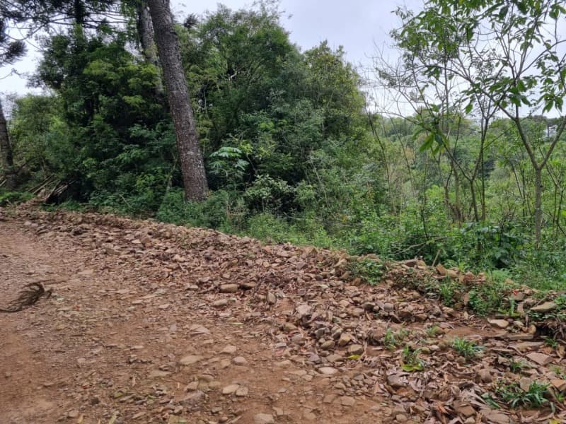 Foto 10 de 31: Area Rural em leilão em Barros Cassal - RS — LOTE 013 Imóvel