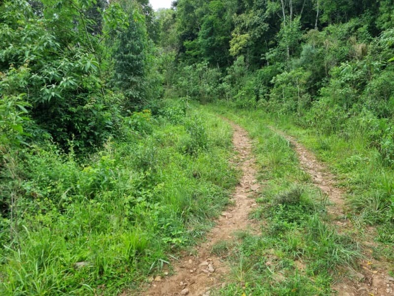 Foto 16 de 31: Area Rural em leilão em Barros Cassal - RS — LOTE 013 Imóvel