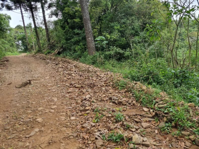 Foto 17 de 31: Area Rural em leilão em Barros Cassal - RS — LOTE 013 Imóvel
