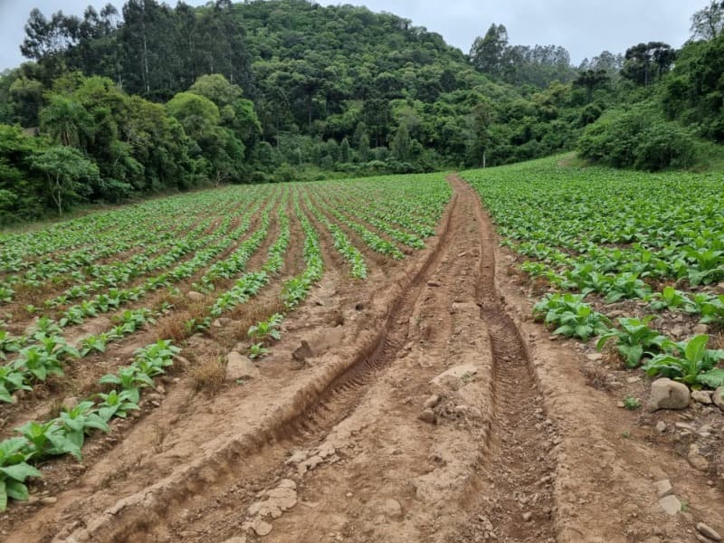 Foto 23 de 31: Area Rural em leilão em Barros Cassal - RS — LOTE 013 Imóvel