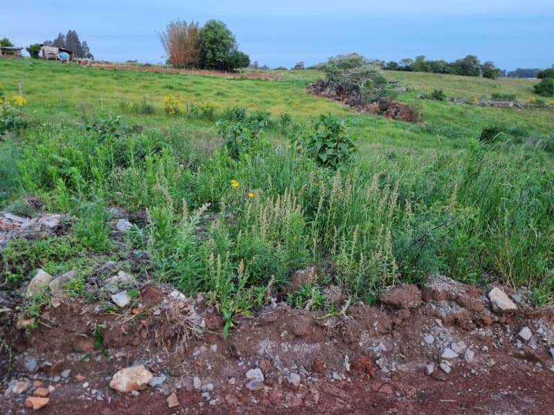 Foto 5 de 12: Terreno em leilão em Soledade - RS — LOTE 016 Imóvel