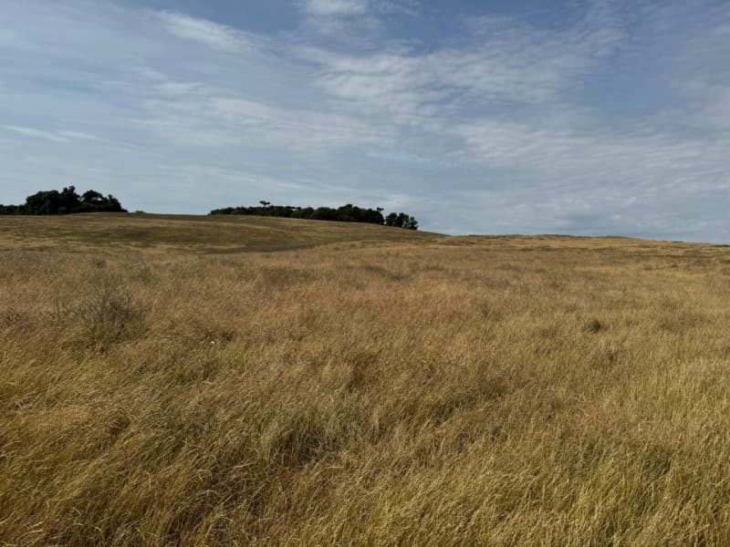 Foto 1 de 12: Area Rural em leilão em Ibirapuitã - RS — LOTE 018 Imóvel