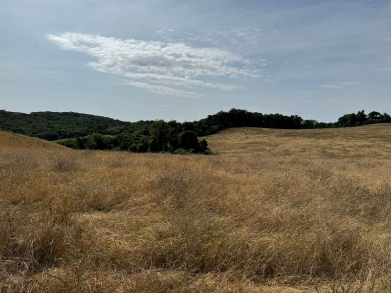 Foto 4 de 12: Area Rural em leilão em Ibirapuitã - RS — LOTE 018 Imóvel