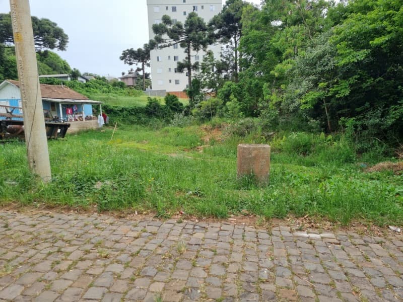 Foto 4 de 14: Terreno em leilão em Soledade - RS — LOTE 026 Imóvel