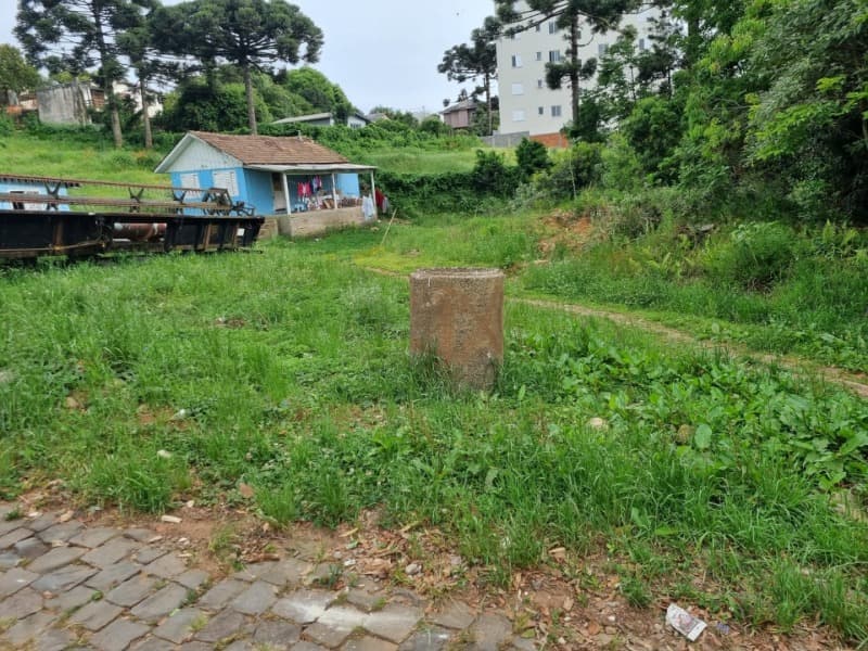 Foto 6 de 14: Terreno em leilão em Soledade - RS — LOTE 026 Imóvel
