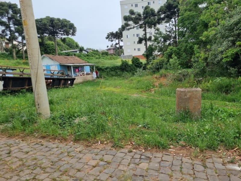 Foto 13 de 14: Terreno em leilão em Soledade - RS — LOTE 026 Imóvel