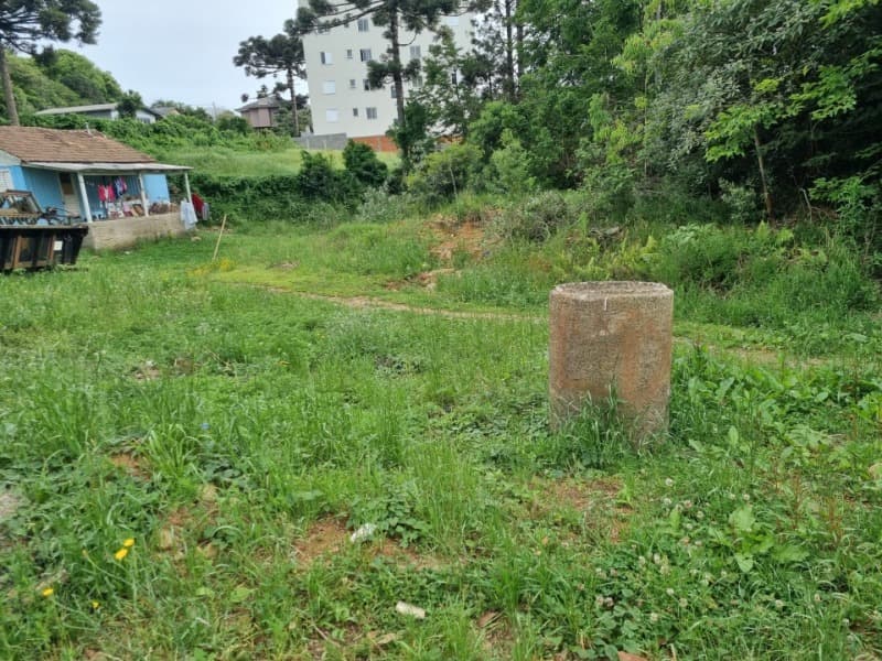 Foto 14 de 14: Terreno em leilão em Soledade - RS — LOTE 026 Imóvel