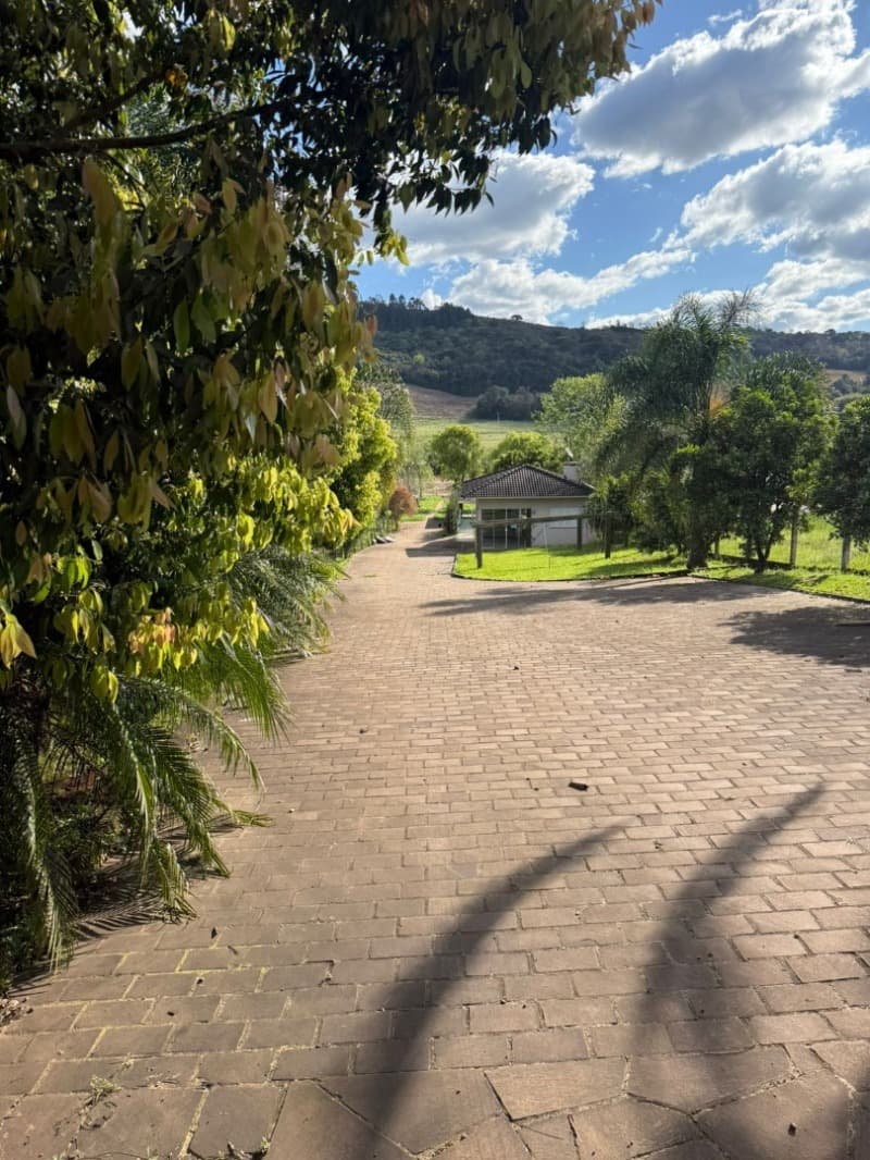 Foto 10 de 44: Area Rural em leilão em Nova Bassano - RS — LOTE 001 Imóvel