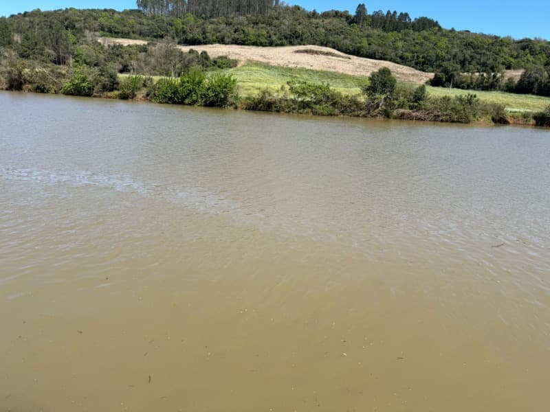 Foto 12 de 44: Area Rural em leilão em Nova Bassano - RS — LOTE 001 Imóvel