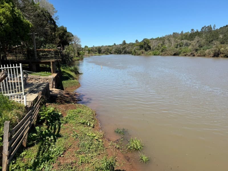 Foto 40 de 44: Area Rural em leilão em Nova Bassano - RS — LOTE 001 Imóvel