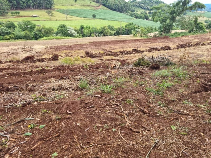 Foto 4 de 13: Area Rural em leilão em Severiano De Almeida - RS — LOTE 007 imóvel