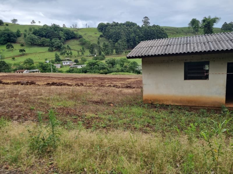Foto 11 de 13: Area Rural em leilão em Severiano De Almeida - RS — LOTE 007 imóvel