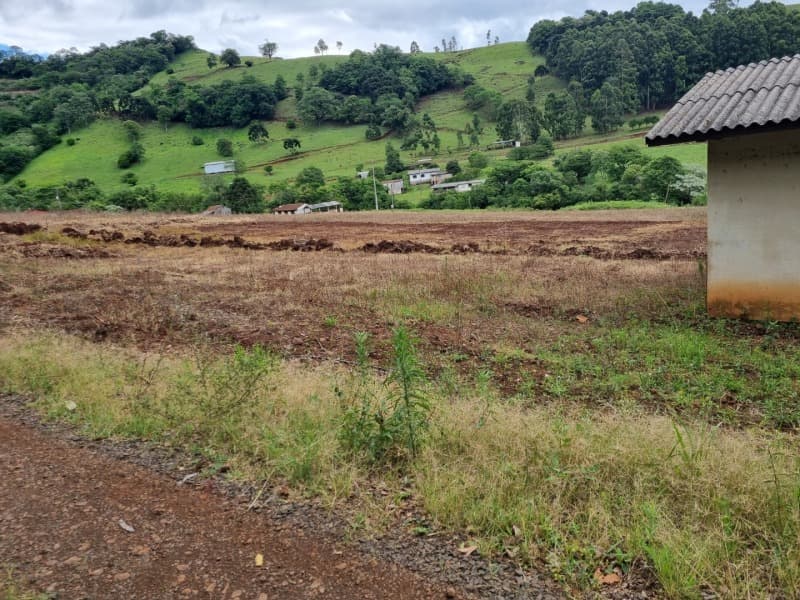 Foto 12 de 13: Area Rural em leilão em Severiano De Almeida - RS — LOTE 007 imóvel