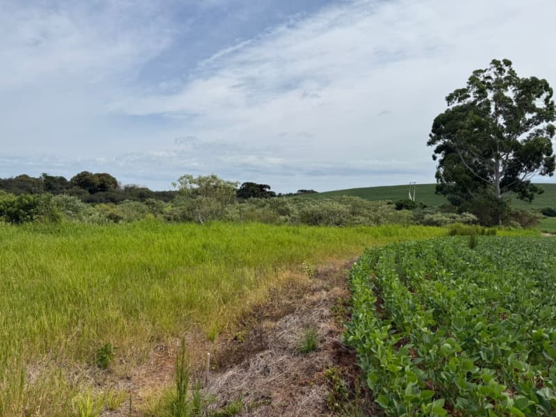 Foto 3 de 11: Terreno em leilão em Passo Fundo - RS — LOTE 001 Imóvel