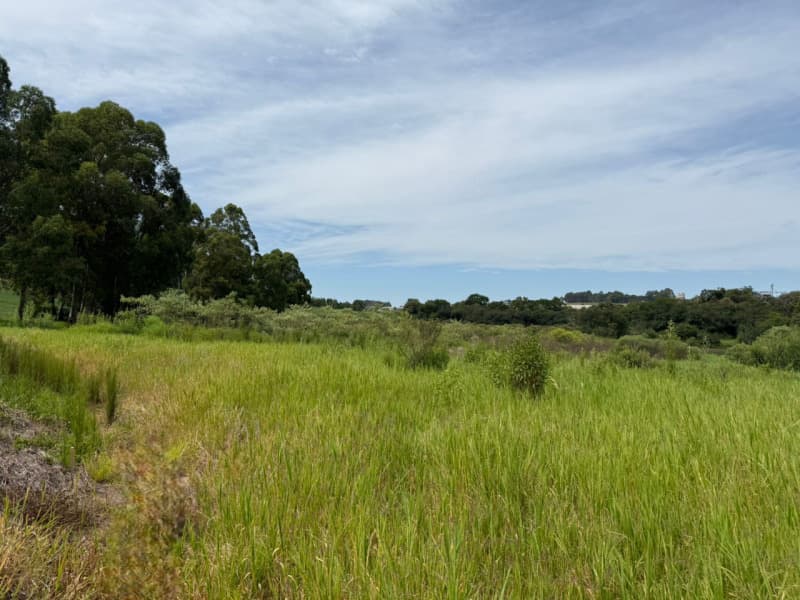 Foto 6 de 11: Terreno em leilão em Passo Fundo - RS — LOTE 001 Imóvel