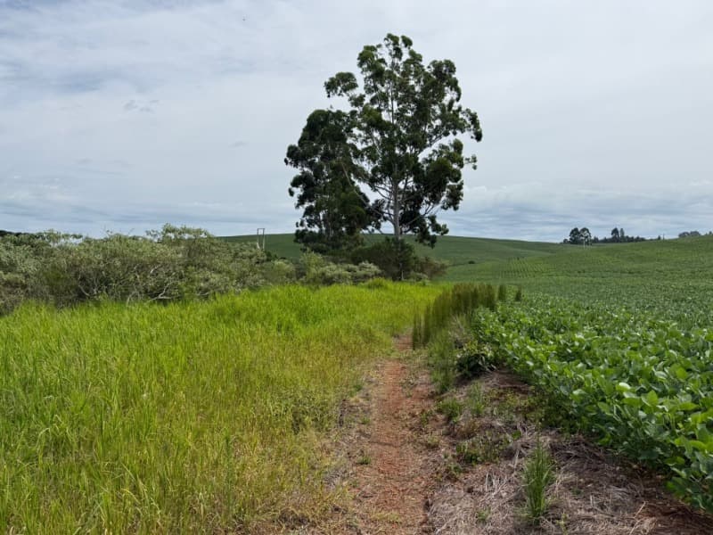 Foto 7 de 11: Terreno em leilão em Passo Fundo - RS — LOTE 001 Imóvel