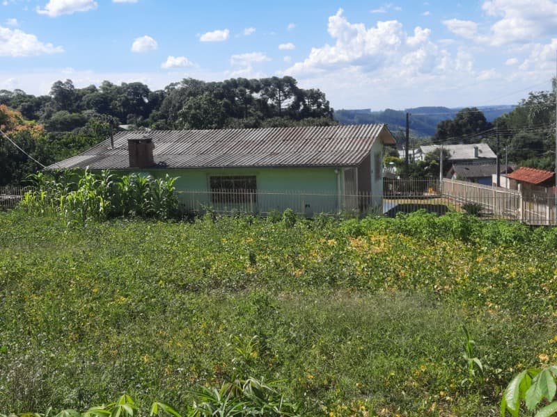 Foto 12 de 14: Terreno em leilão em Erval Grande - RS — LOTE 001 Imóvel