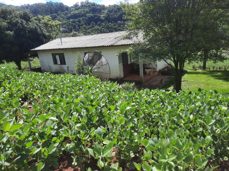 Foto 14 de 35: Terreno em leilão em Severiano De Almeida - RS — LOTE 004 Imóvel