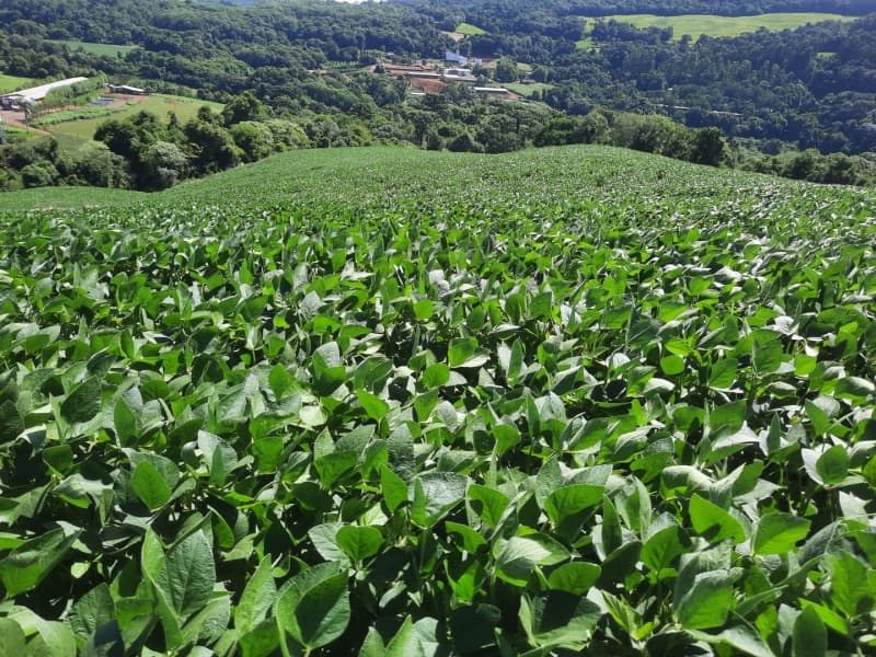 Foto 29 de 35: Terreno em leilão em Severiano De Almeida - RS — LOTE 004 Imóvel