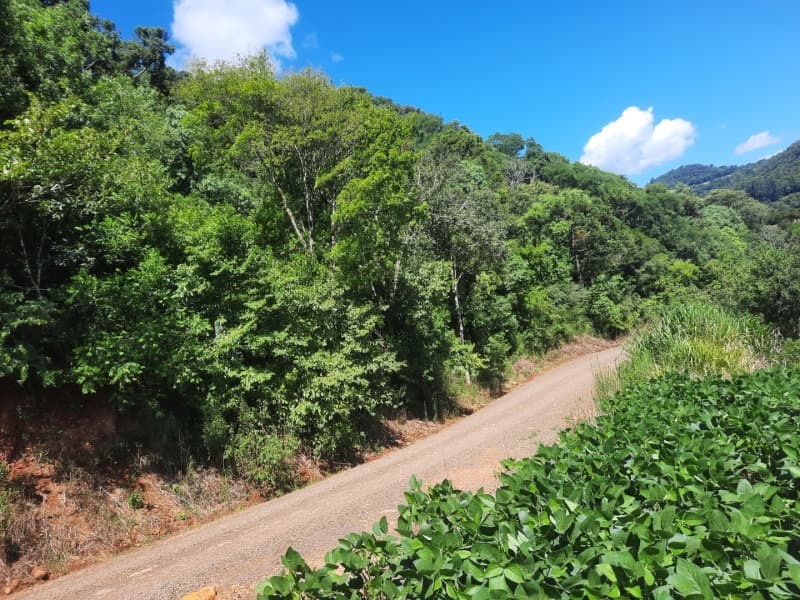Foto 34 de 35: Terreno em leilão em Severiano De Almeida - RS — LOTE 004 Imóvel