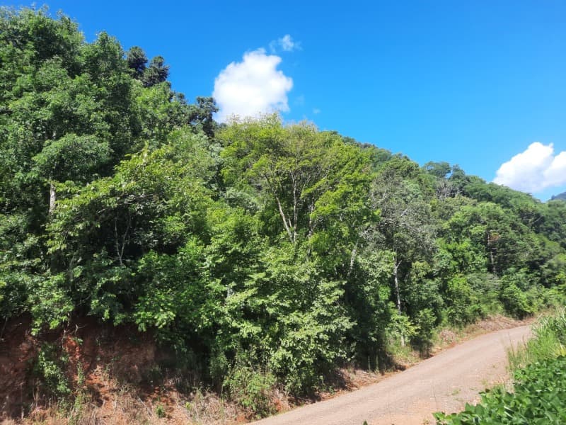 Foto 35 de 35: Terreno em leilão em Severiano De Almeida - RS — LOTE 004 Imóvel