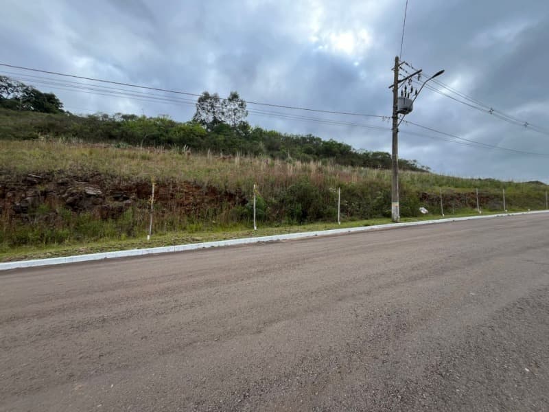 Foto 3 de 9: Terreno em leilão em Serafina Corrêa - RS — LOTE 001 imóvel