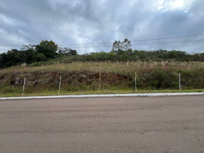 Foto 5 de 9: Terreno em leilão em Serafina Corrêa - RS — LOTE 001 imóvel