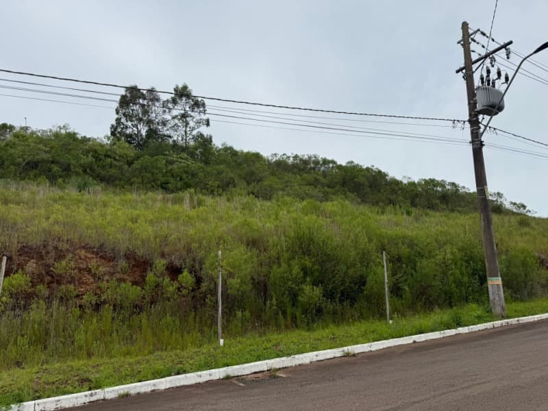 Foto 6 de 9: Terreno em leilão em Serafina Corrêa - RS — LOTE 001 imóvel