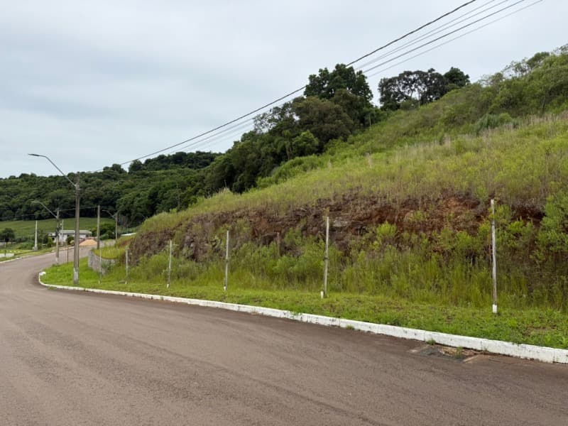Foto 7 de 9: Terreno em leilão em Serafina Corrêa - RS — LOTE 001 imóvel