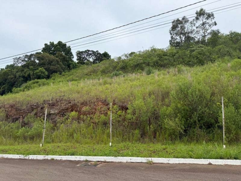 Foto 8 de 9: Terreno em leilão em Serafina Corrêa - RS — LOTE 001 imóvel