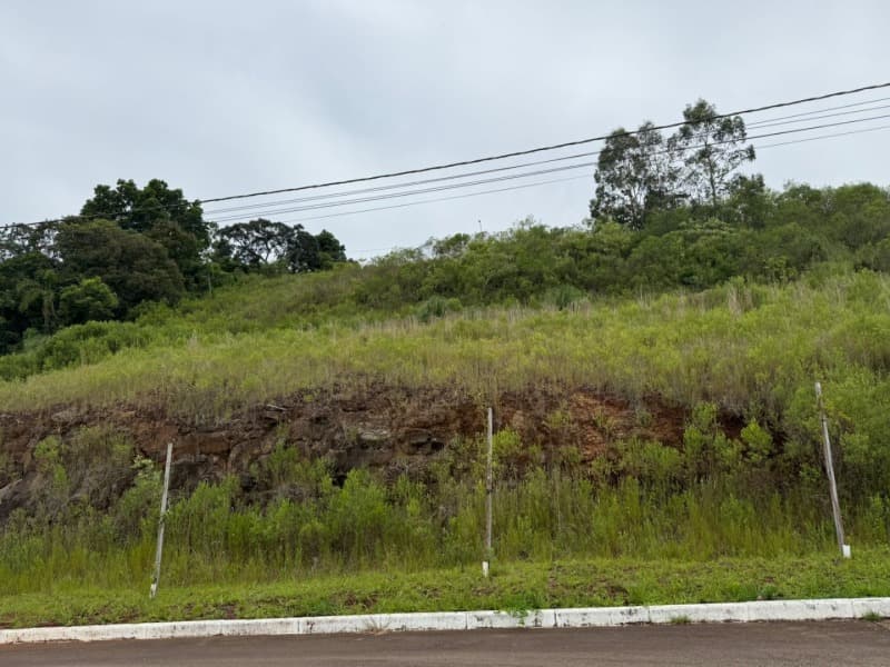 Foto 9 de 9: Terreno em leilão em Serafina Corrêa - RS — LOTE 001 imóvel