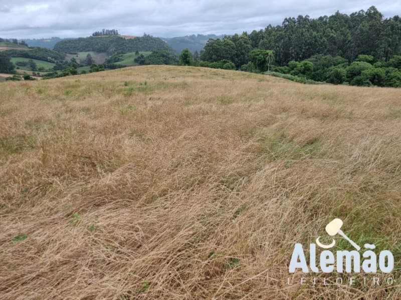 Foto 4 de 29: Terreno em leilão em Arroio Do Tigre - RS — LOTE 003 imóvel