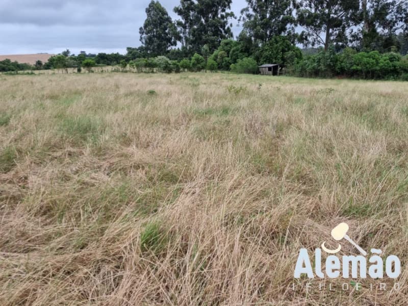 Foto 2 de 29: Terreno em leilão em Arroio Do Tigre - RS — LOTE 003 imóvel