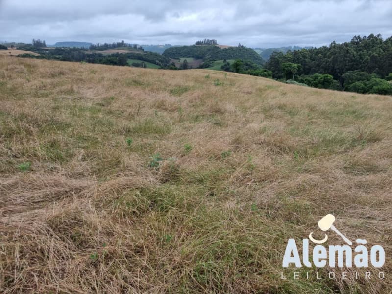 Foto 3 de 29: Terreno em leilão em Arroio Do Tigre - RS — LOTE 003 imóvel