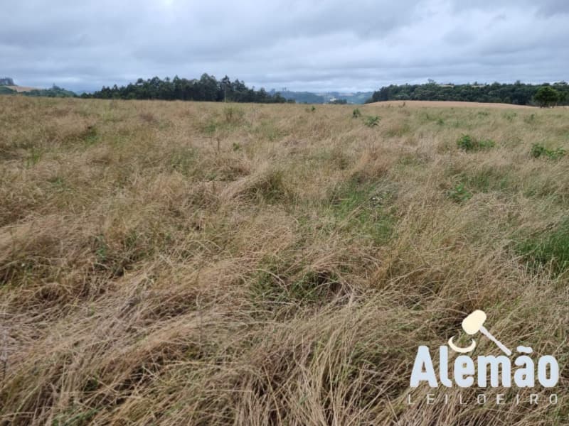 Foto 1 de 29: Terreno em leilão em Arroio Do Tigre - RS — LOTE 003 imóvel