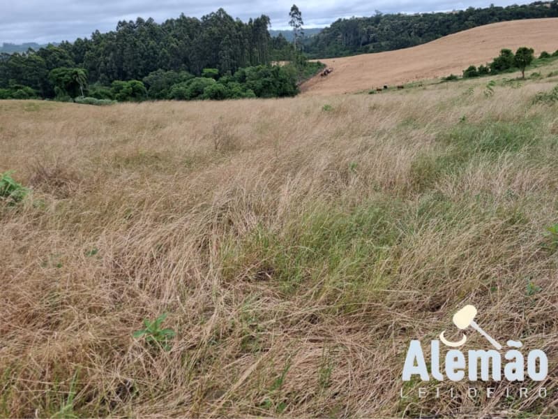 Foto 5 de 29: Terreno em leilão em Arroio Do Tigre - RS — LOTE 003 imóvel