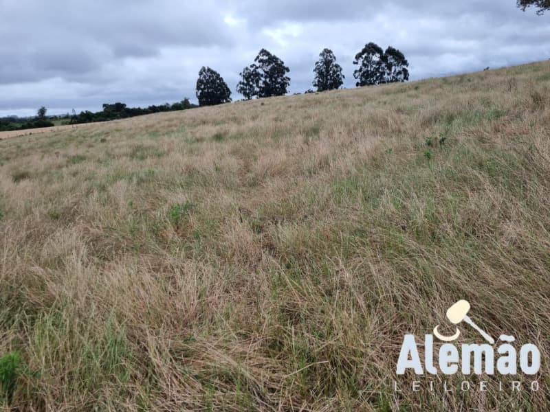 Foto 6 de 29: Terreno em leilão em Arroio Do Tigre - RS — LOTE 003 imóvel
