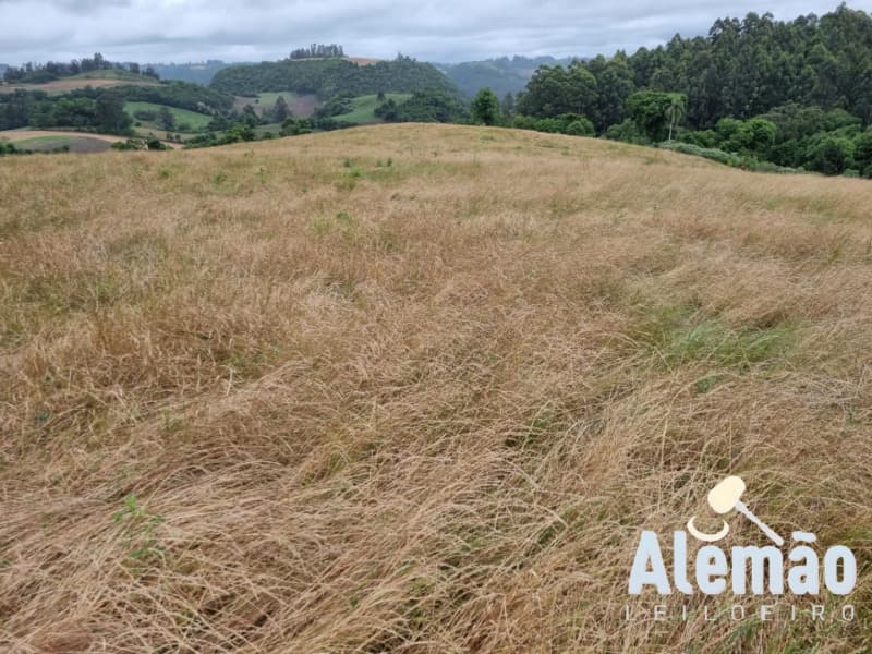 Foto 7 de 29: Terreno em leilão em Arroio Do Tigre - RS — LOTE 003 imóvel