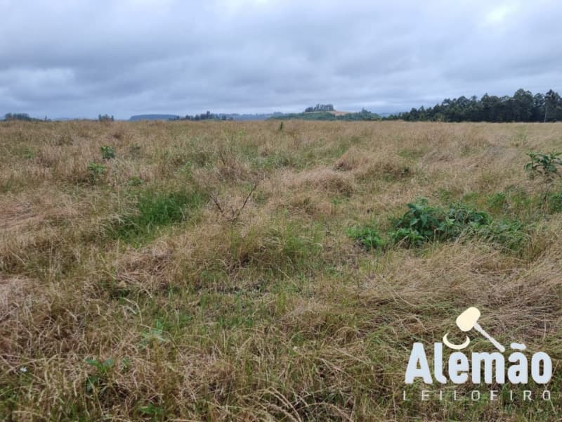 Foto 8 de 29: Terreno em leilão em Arroio Do Tigre - RS — LOTE 003 imóvel